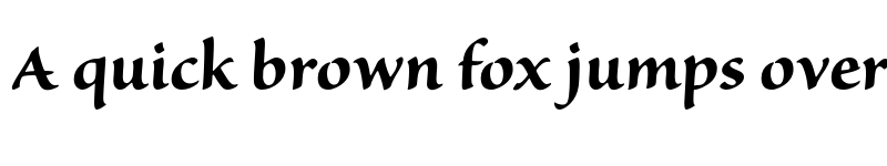 Preview of Sanvito Pro Bold font