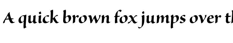 Preview of Sanvito Pro Display Bold font