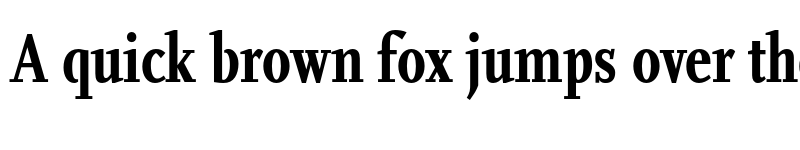 Preview of Scala Pro Cond Bold font