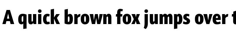 Preview of Schnebel Sans ME Comp Black font