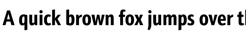 Preview of Schnebel Sans ME Comp Bold font