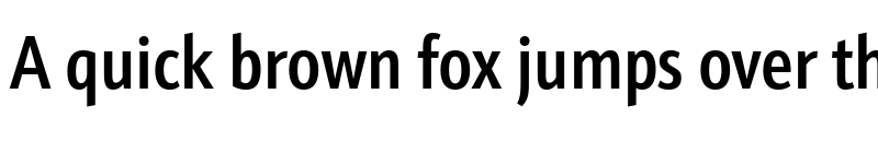 Preview of Schnebel Sans ME Comp Medium font