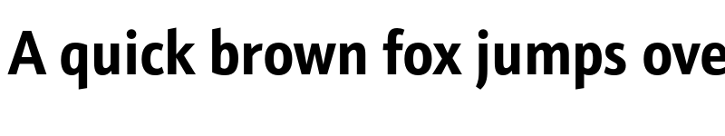 Preview of Schnebel Sans ME Cond Bold font