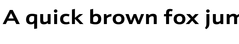 Preview of Schnebel Sans ME Expand Bold font