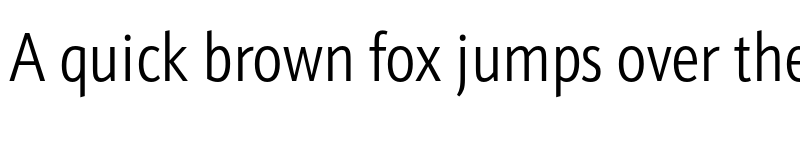 Preview of Schnebel Sans Pro Comp Light font