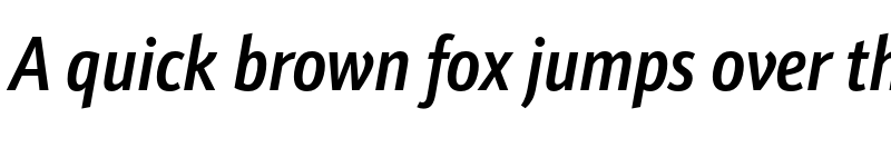 Preview of Schnebel Sans Pro Comp Medium Italic font