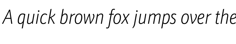 Preview of Schnebel Sans Pro Comp Thin Italic font