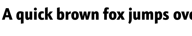 Preview of Schnebel Sans Pro Cond Black font