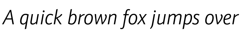 Preview of Schnebel Sans Pro Cond Light Italic font