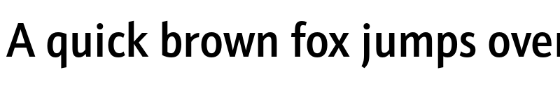 Preview of Schnebel Sans Pro Cond Medium font