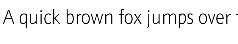 Preview of Schnebel Sans Pro Cond Thin font