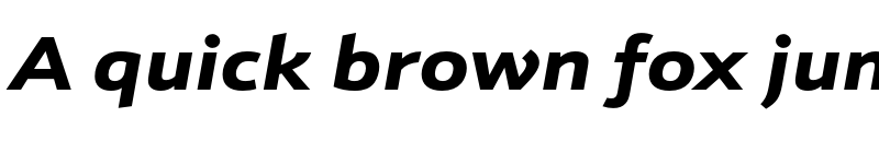 Preview of Schnebel Sans Pro Expand Black Italic font