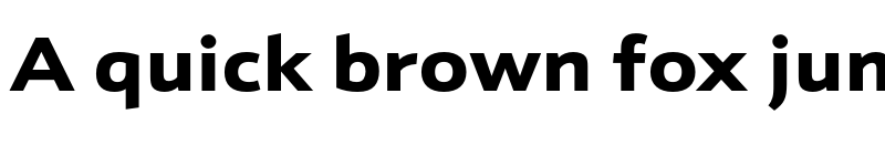 Preview of Schnebel Sans Pro Expand Black font