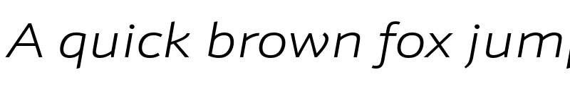 Preview of Schnebel Sans Pro Expand Light Italic font