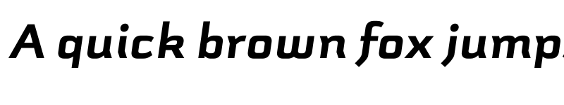 Preview of Schwager Sans Black It font