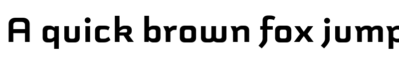 Preview of Schwager Sans Black font