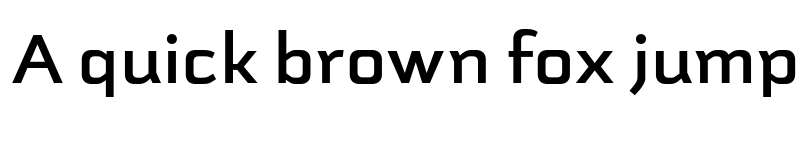 Preview of Schwager Sans Bold font