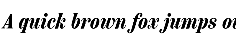 Preview of Scotch Text Compressed Bold Italic font