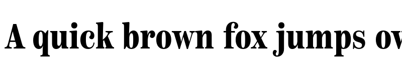 Preview of Scotch Text Compressed Bold font