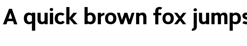 Preview of SeanSans NarrowBlack font