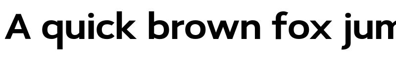 Preview of SeanSans NormalBlack font