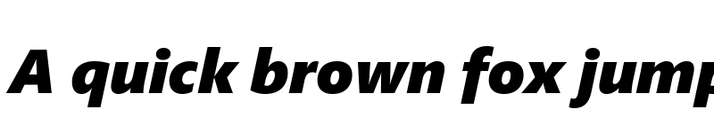 Preview of Segoe Pro Black Italic font