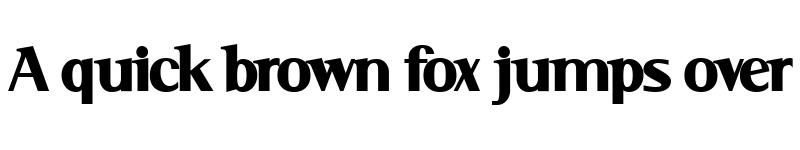 Preview of Serif Black Serif Black font