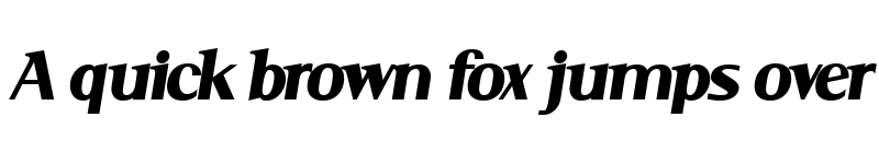 Preview of Serif BlackItalic Serif BlackItalic font
