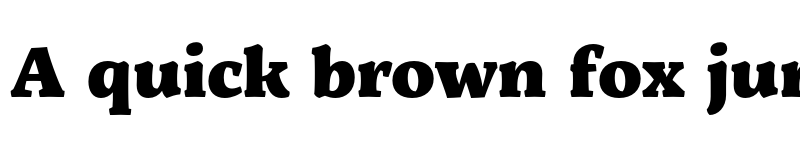 Preview of Servus Slab Black font