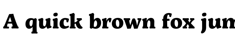 Preview of Servus Slab ExtraBold font