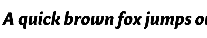 Preview of Sharik Sans ExtraBold Italic font