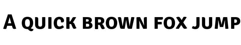 Preview of Signika Negative SC Bold font