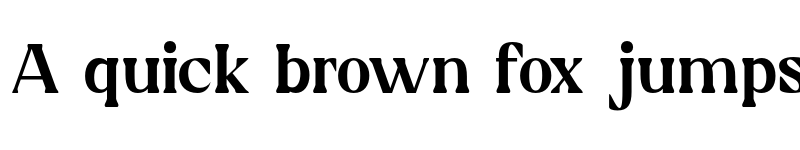 Preview of Silk Display Regular font