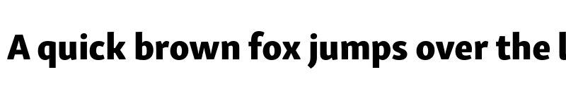 Preview of Skolar Sans Arabic Extrabold font