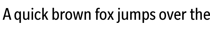 Preview of Slate Pro Condensed font