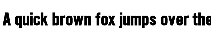 Preview of SlimSansSerif Bold font