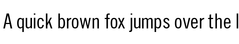 Preview of SlimSansSerif Regular font