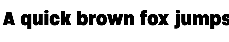 Preview of Soliden Trial Black Condensed font