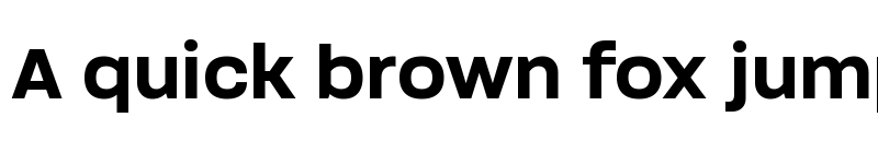 Preview of Soliden Trial Bold font