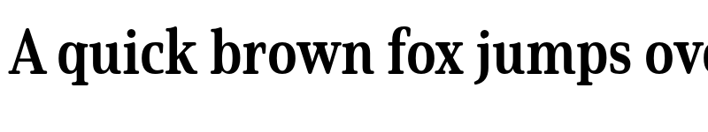 Preview of Solitas Serif Cond Bold font