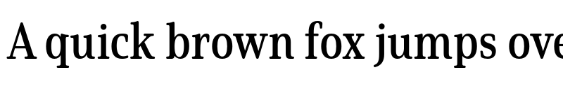 Preview of Solitas Serif Cond Demi font