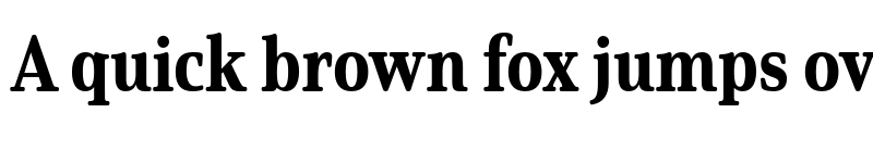 Preview of Solitas Serif Cond ExBold font