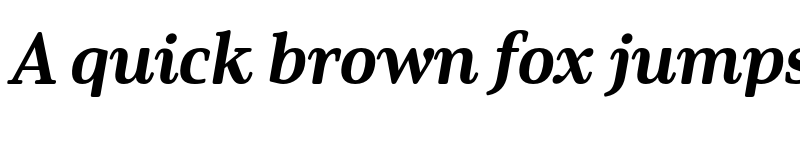 Preview of Solitas Serif Ext ExBold It font