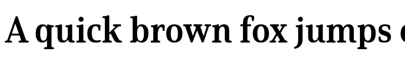 Preview of Solitas Serif Norm Bold font