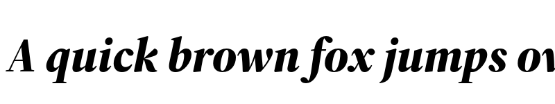 Preview of Source Serif 4 Display Black Italic font