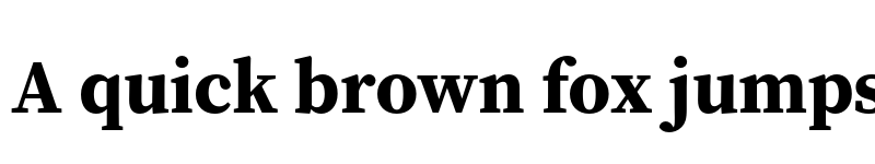 Preview of Source Serif Pro Bold font