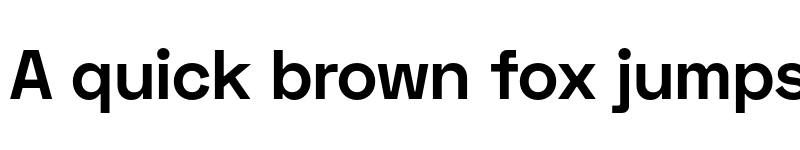 Preview of Space Grotesk Bold font