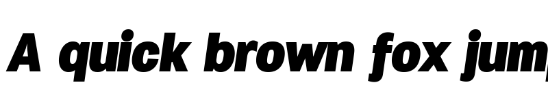 Preview of Specify PERSONAL Normal Black Italic font