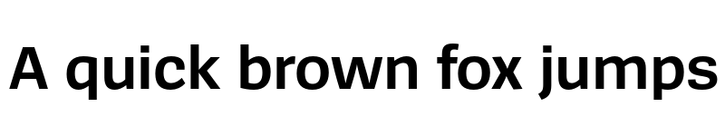 Preview of SpiegelSans Trial Bold font