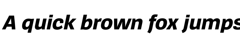 Preview of SpiegelSans Trial ExtraBold Italic font
